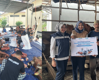 Penyaluran Hewan Kurban Pelindo Regional 2 Tanjungpandan ke Enam Titik di Belitung