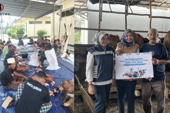 Penyaluran Hewan Kurban Pelindo Regional 2 Tanjungpandan ke Enam Titik di Belitung