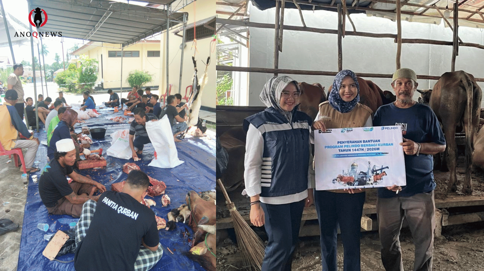 Penyaluran Hewan Kurban Pelindo Regional 2 Tanjungpandan ke Enam Titik di Belitung